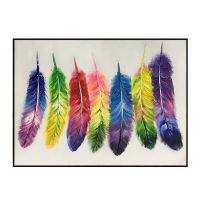 handpainted colorful feather oil paintings CAFA5173 modern framed art paintings