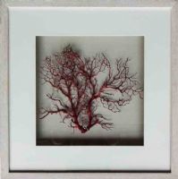 Wholesaale Modern 3D Framed Art UASB1362B Seafan Shadow Box Wall Decoration