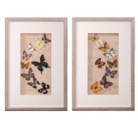 Wholesale Modern Sets of 3D Wall Art Butterfly UASB1135 Framed Art Decoration