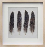 Wholesale Modern Natural Feather Wall Art UASB1408C 3D Shadow Box Wall Decoration