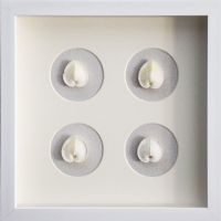 Wholesale Modern 3D Shadow Box Seashell Wall Art Decoration