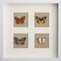 Wholesale Modern 3D Shadow Box Butterfly Wall Art Framed Wall Decoration