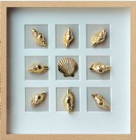 Wholesale UASB1375 Modern 3D Shadow Box Gold Seashell Wall Art Decoration