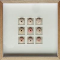 Modern 9 pcs Box Framed Art UASB1390 Sea Urchin SHadow Box Wall Art