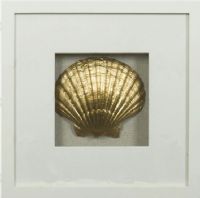 Wholesale modern 3d shadow box UASB1514 gold shell wall art decoration