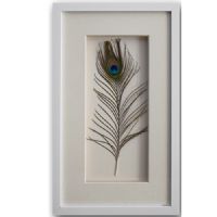 Modern Bule Peacock 3D Shadow Box UASB1410B Natural Feather Wall Art Framed Art Decoration