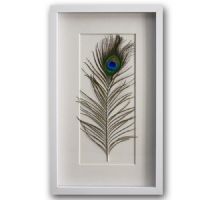 Wholesale Modern 3D Shadow Box UASB1410A Peacock Feather Wall Art Decoration