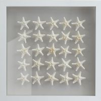 Wholesale UASB1522 modern 3d shadow box starfish wall art decoration