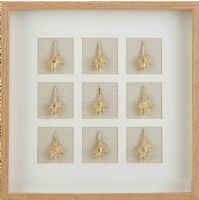 Wholesale Modern 3D Shadow Box UASB1373 Golden Shell Artowrk Wall Decoration